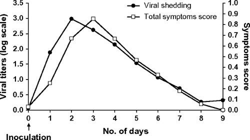 Cold Or Flu Flow Chart