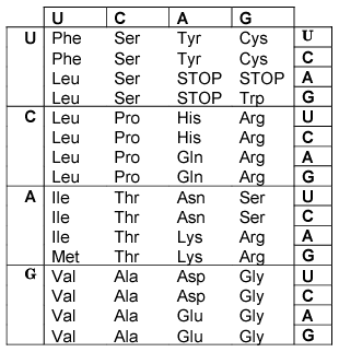 Rna Decoding Chart