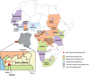 Viral hemorrhagic fevers in Africa