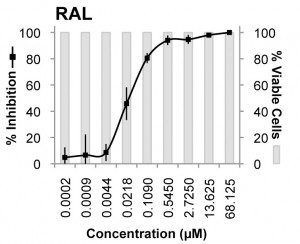 Raltegravir inhibition XMRV