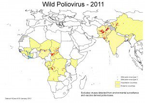 Year in polio 2011
