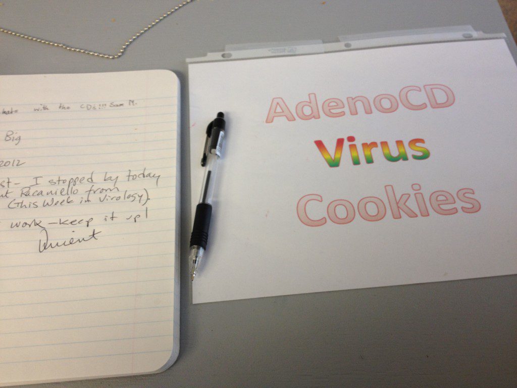adenoCD virus