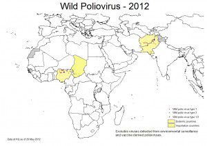 global polio 2012