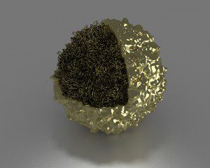 gold poliovirus