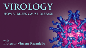 Virology2