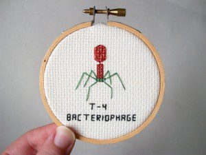 bacteriophage T4
