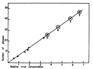 plaque dose response