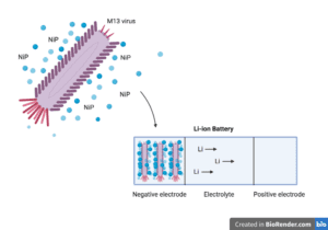 Virus Battery