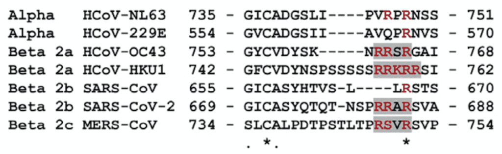 Spike cleavage sites